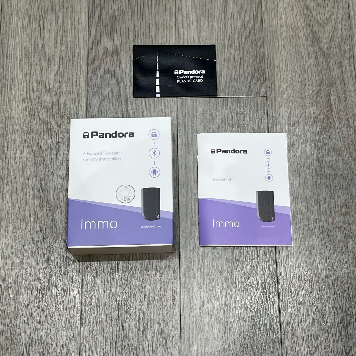 Pandora Immo – Immobiliser System Installation