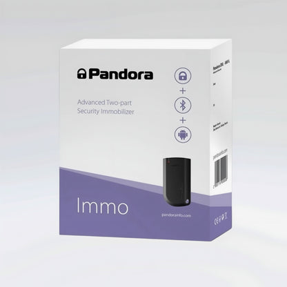 Pandora Immo – Immobiliser System Installation