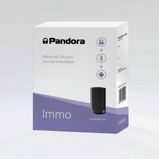 Pandora Immo – Immobiliser System Installation