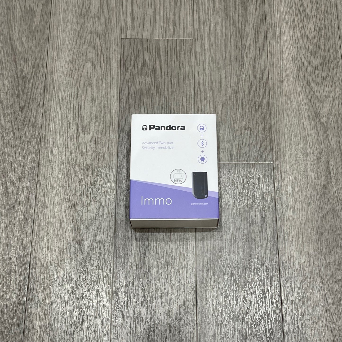Pandora Immo – Immobiliser System Installation